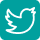 twitter marketing service icon