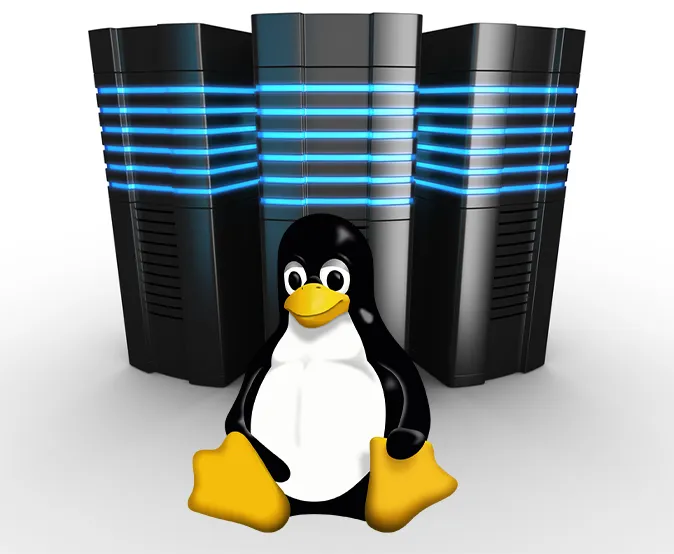 linux Server